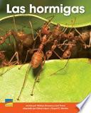 Las Hormigas