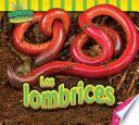 Las lombrices