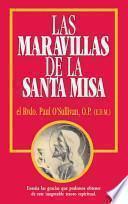 Las Maravillas de La Santa Misa: Spanish Version: Wonders of the Mass