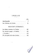 Las palmeras de cartón