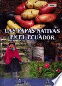 Las Papas Nativas En El Ecuador 