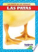 Las Patas (Feet)
