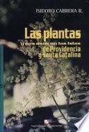 Las plantas y sus usos en las islas de Providencia y Santa Catalina