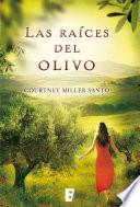 Las raíces del olivo