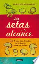 Las setas a tu alcance
