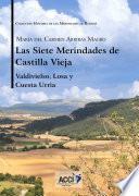 Las siete Merindades de Castilla Vieja - Tomo II