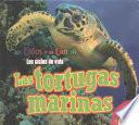 Las Tortugas Marinas (Sea Turtles)