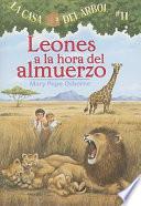 Leones a La Hora Del Almuerzo/Lions at Lunchtime