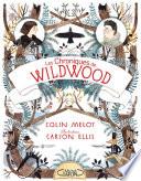 Les chroniques de Wildwood - Livre 1