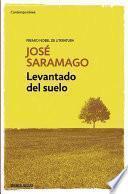 Levantado del suelo