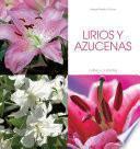Lirios y azucenas - Cultivo y cuidados