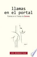 Llamas En El Portal