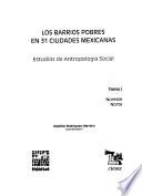 Los barrios pobres en 31 ciudades mexicanas: Noreste, Norte