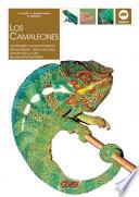 LOS CAMALEONES