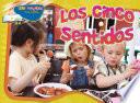 Los cinco sentidos