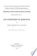 Los coleópteros de Marruecos