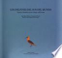 Los delfines del sur del mundo