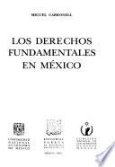 Los derechos fundamentales en México