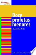 Los Doce Profetas Menores