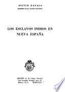 Los esclavos indios en Nueva España