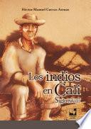Libro Los indios en Cali