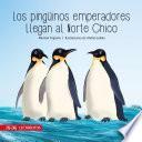 Los pingüinos emperadores llegan al Norte Chico