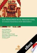 Los principios en el proceso civil