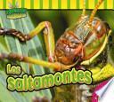 Los Saltamontes