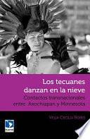 Los tecuanes danzan en la nieve