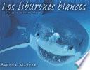 Los tiburones blancos