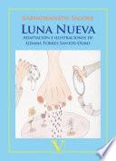 Luna nueva