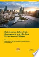 Maintenance, Safety, Risk, Management and Life-Cycle Performance of Bridges