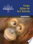 Mamíferos I