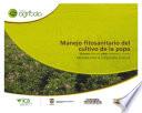 Manejo fitosanitario del cultivo de la papa (medidas temporada invernal)