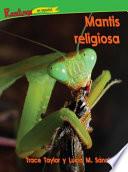 Mantis religiosa / Praying Mantis