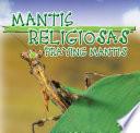 Mantis Religiosas