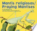 Mantis Religiosas/Praying Mantises