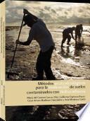 Métodos ecotoxicológicos para la evaluación de suelos contaminados con hidrocarburos