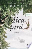 Mica țară