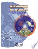 Michoacán de Ocampo. Censos Económicos 1999. Tomo II