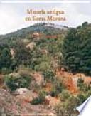 Minería antigua en Sierra Morena