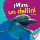 ¡Mira, un delfín!