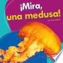 ¡Mira, una medusa! (Look, a Jellyfish!)