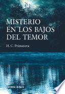 Misterio en los Bajos del Temor