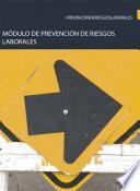 Módulo de Prevención de riesgos laborales