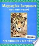 Momentos Hermosos en El Reino Animal
