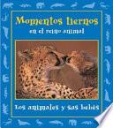 Momentos Tiernos en el Reino Animal