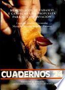Murciélagos de Tabasco y Campeche
