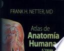 Netter, F.H., Atlas de Anatomía Humana, 4a ed. ©2007