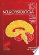 Neurofisiología